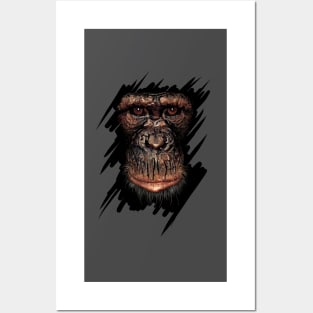 Affe Posters and Art
